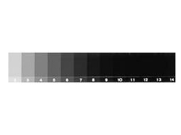 Density Strip